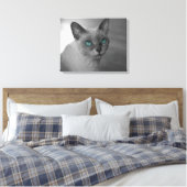Katze mit blauen Augen Leinwanddruck (Insitu (Schlafzimmer))