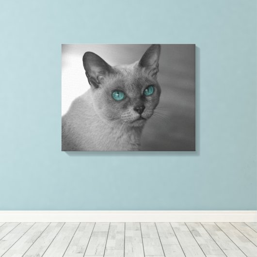 Katze mit blauen Augen Leinwanddruck (Insitu (Holzboden))