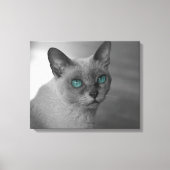 Katze mit blauen Augen Leinwanddruck (Vorderseite)