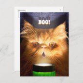 Katze mit Blitzlicht Einladungspostkarte (Vorne/Hinten)
