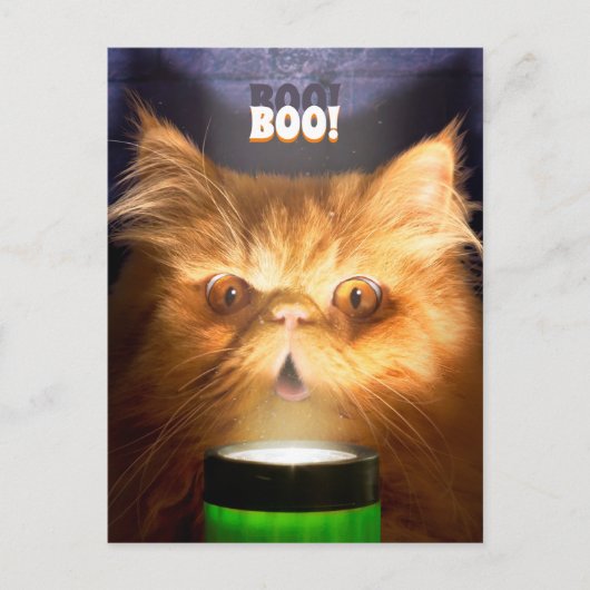 Katze mit Blitzlicht Einladungspostkarte (Vorderseite)