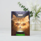 Katze mit Blitzlicht Einladungspostkarte (Stehend Vorderseite)