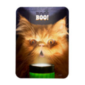 Katze mit Blitzlicht Magnet (Vertikal)