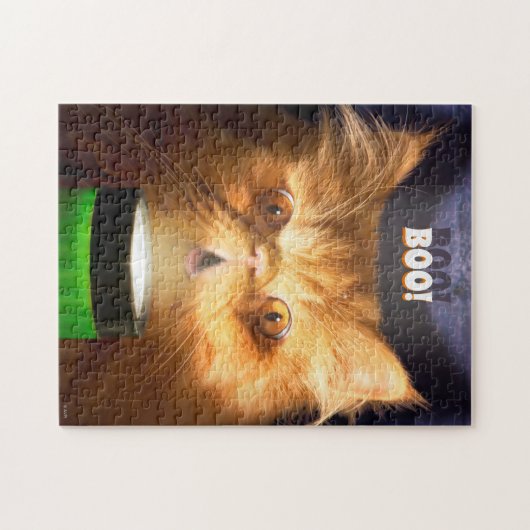 Katze mit Blitzlicht Puzzle (Horizontal)