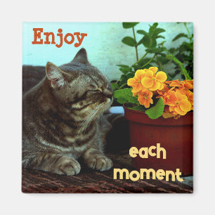 Katze mit Blume/Genießen Sie jede Frau Magnet