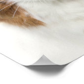 Katze mit Blume Hut Poster (Ecke)