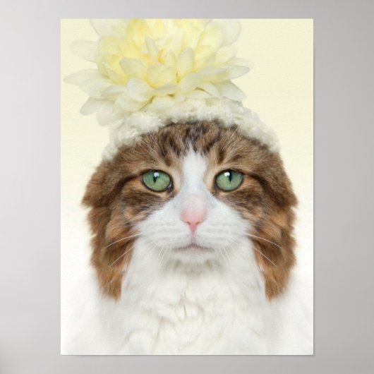 Katze mit Blume Hut Poster (Vorne)