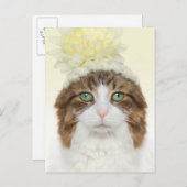 Katze mit Blume Hut Postkarte (Vorne/Hinten)