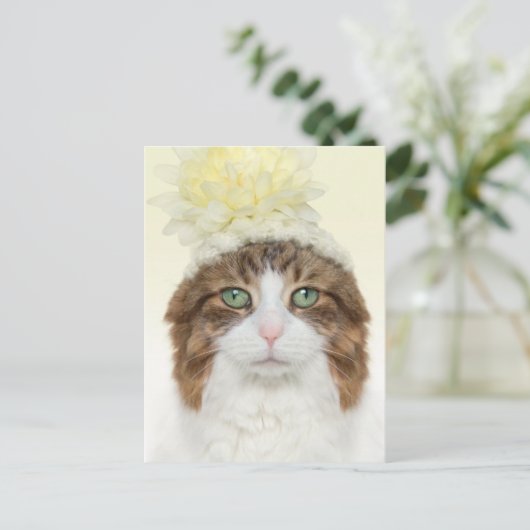Katze mit Blume Hut Postkarte (Stehend Vorderseite)