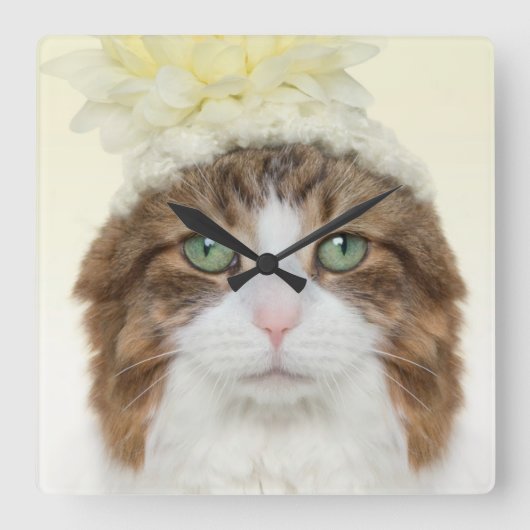 Katze mit Blume Hut Quadratische Wanduhr (Vorderseite)