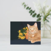 Katze mit Blume Postkarte (Stehend Vorderseite)