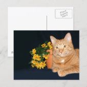 Katze mit Blume Postkarte (Vorne/Hinten)