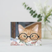 Katze mit Brillen und Büchern Postkarte (Stehend Vorderseite)
