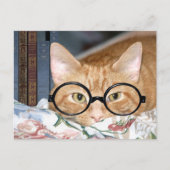 Katze mit Brillen und Büchern Postkarte (Vorderseite)
