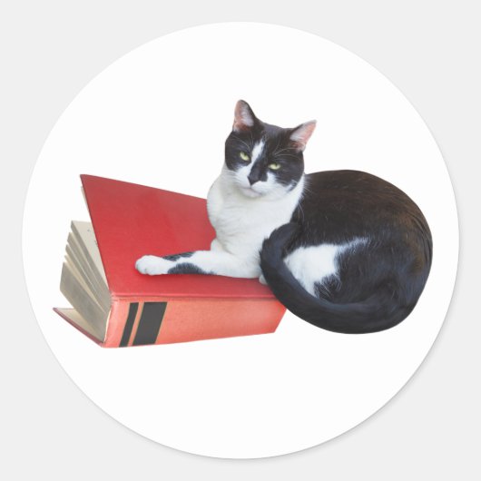 Katze mit Buch Aufkleber (Vorderseite)