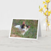 Katze mit Calico Muster Karte (Gelbe Blume)