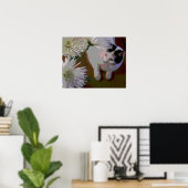 Katze mit Chrysanthemen Kunstdruck Poster (Heimbüro)