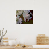 Katze mit Chrysanthemen Kunstdruck Poster (Küche)