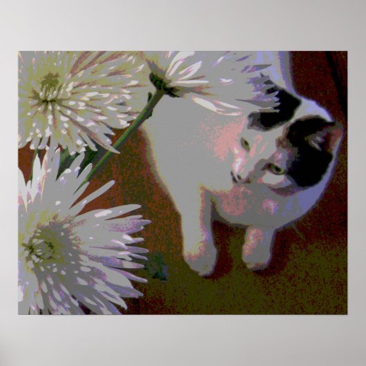 Katze mit Chrysanthemen Kunstdruck Poster (Vorne)