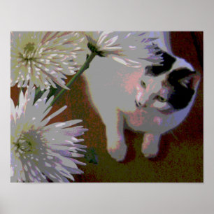 Katze mit Chrysanthemen Kunstdruck Poster