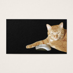 Katze mit Computermaus
