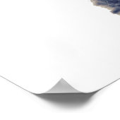 Katze mit cooler Sonnenbrille Poster (Ecke)