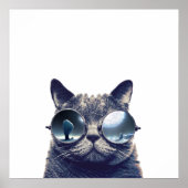 Katze mit cooler Sonnenbrille Poster (Vorne)