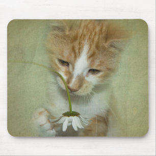 Katze mit Daisy Mousepad