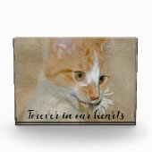 Katze mit Daisy-Pet-Memorial Fotoblock (Vorderseite)