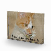 Katze mit Daisy-Pet-Memorial Fotoblock (Rechts)