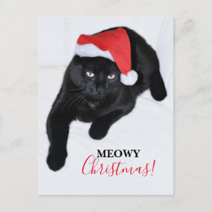 Katze mit dem roten Weihnachtsmann-Hut Feiertagspostkarte