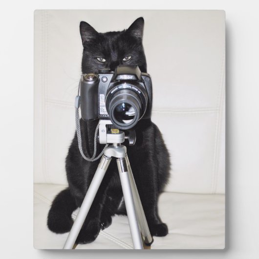 Katze mit der Kamera Fotoplatte (Vorderseite)
