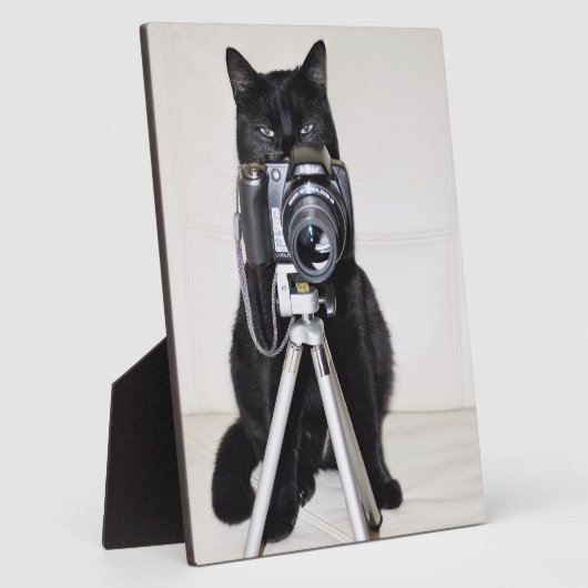 Katze mit der Kamera Fotoplatte (Seite)
