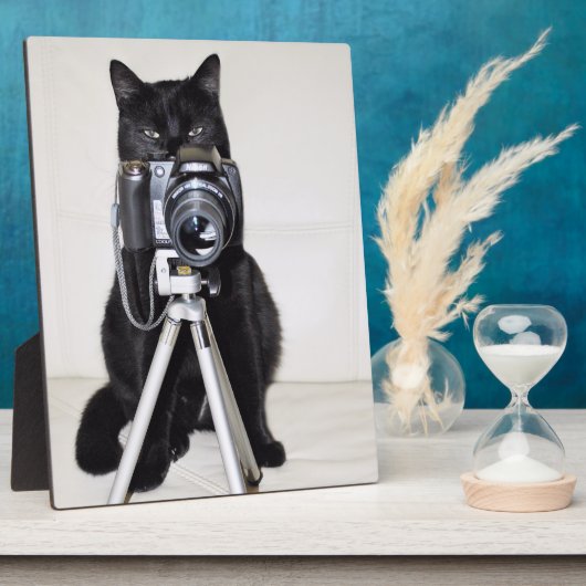 Katze mit der Kamera Fotoplatte (Seite)
