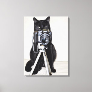 Katze mit der Kamera Leinwanddruck