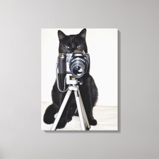 Katze mit der Kamera Leinwanddruck (Vorderseite)