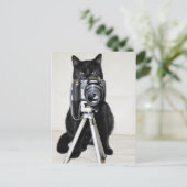 Katze mit der Kamera Postkarte (Stehend Vorderseite)