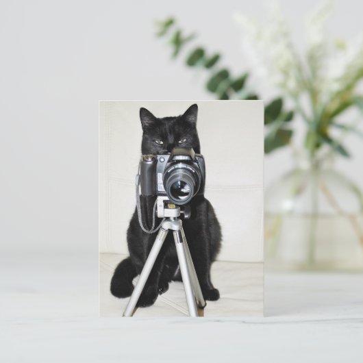 Katze mit der Kamera Postkarte (Stehend Vorderseite)