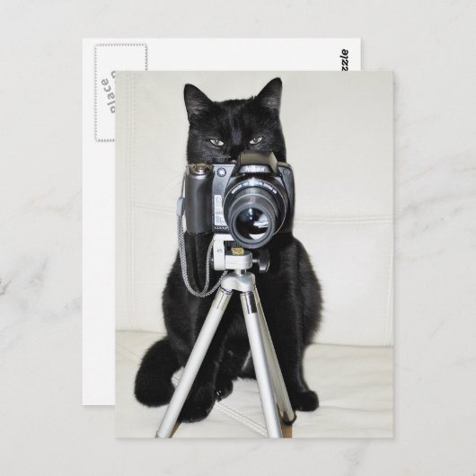 Katze mit der Kamera Postkarte (Vorne/Hinten)