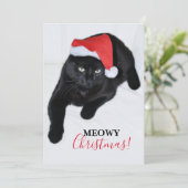 Katze mit der Roten Weihnachtsmannmütze Feiertagskarte (Stehend Vorderseite)