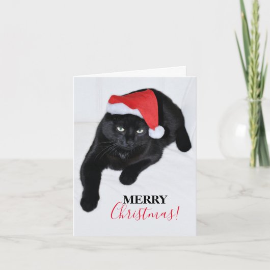 Katze mit der Roten Weihnachtsmannmütze Feiertagskarte (Vorderseite)