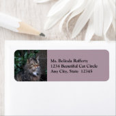 Katze mit einem dankbaren Herz-Rücksendeadressen-A (Insitu)