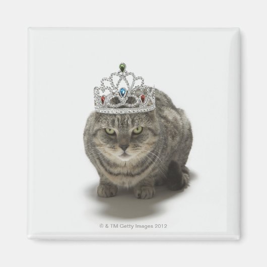 Katze mit einem Tiara Magnet (Vorne)