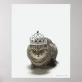 Katze mit einem Tiara Poster (Vorne)