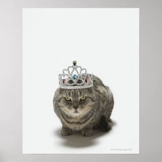 Katze mit einem Tiara Poster (Vorne)