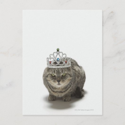 Katze mit einem Tiara Postkarte (Vorderseite)