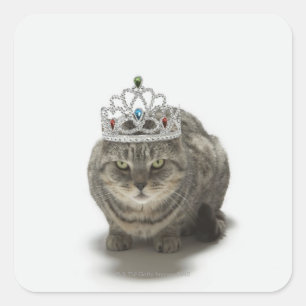Katze mit einem Tiara Quadratischer Aufkleber