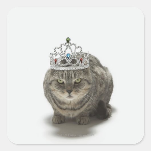 Katze mit einem Tiara Quadratischer Aufkleber (Vorderseite)