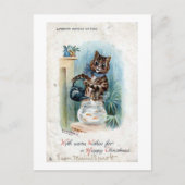 Katze mit einem Wasserkocher, Louis Wain Postkarte (Vorderseite)