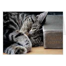 Katze mit einer guten Buchkarte aufgerissen